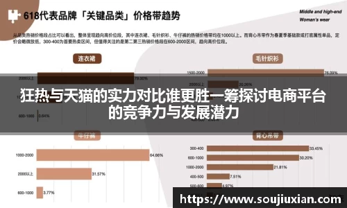 狂热与天猫的实力对比谁更胜一筹探讨电商平台的竞争力与发展潜力