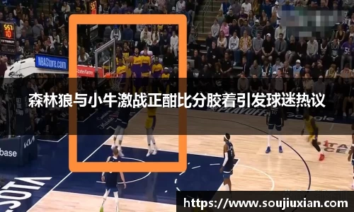 森林狼与小牛激战正酣比分胶着引发球迷热议