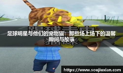 足球明星与他们的宠物猫：那些场上场下的温馨瞬间与故事